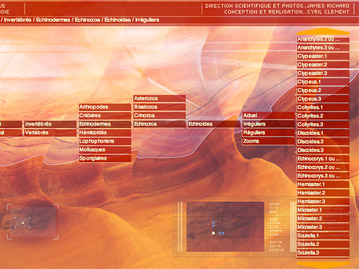 Réalisation d&rsquo;une Photothèque de Paléontologie